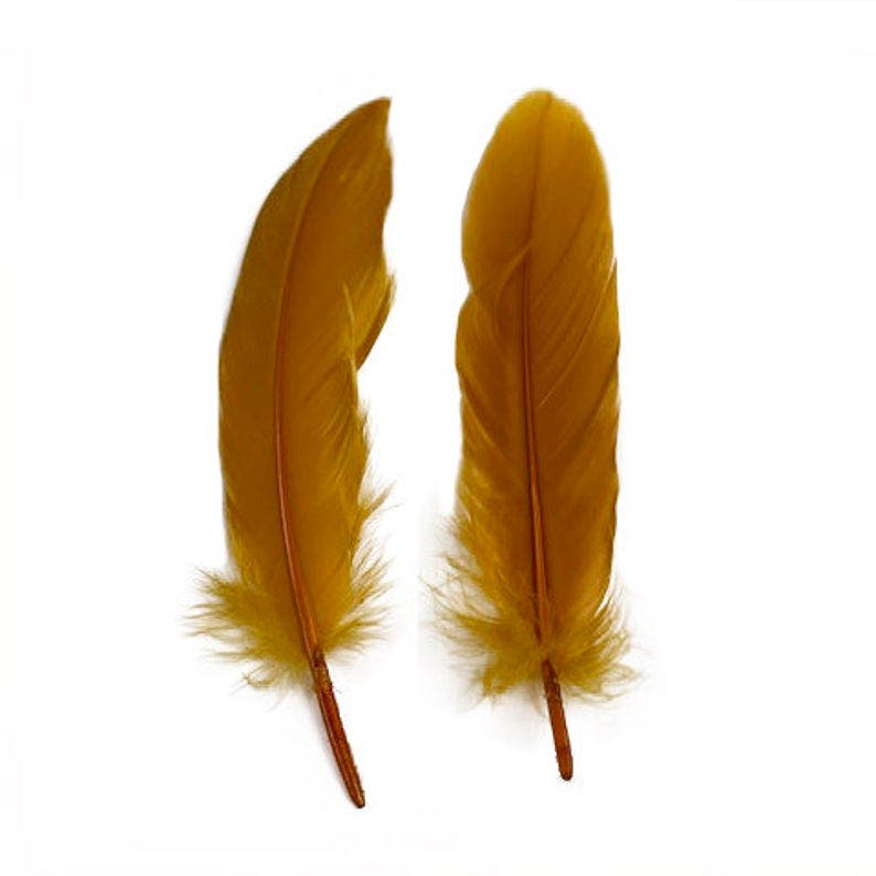 Goose Pallet Feathers 6-8’’ - 12 pc - Antique Gold - Feathers