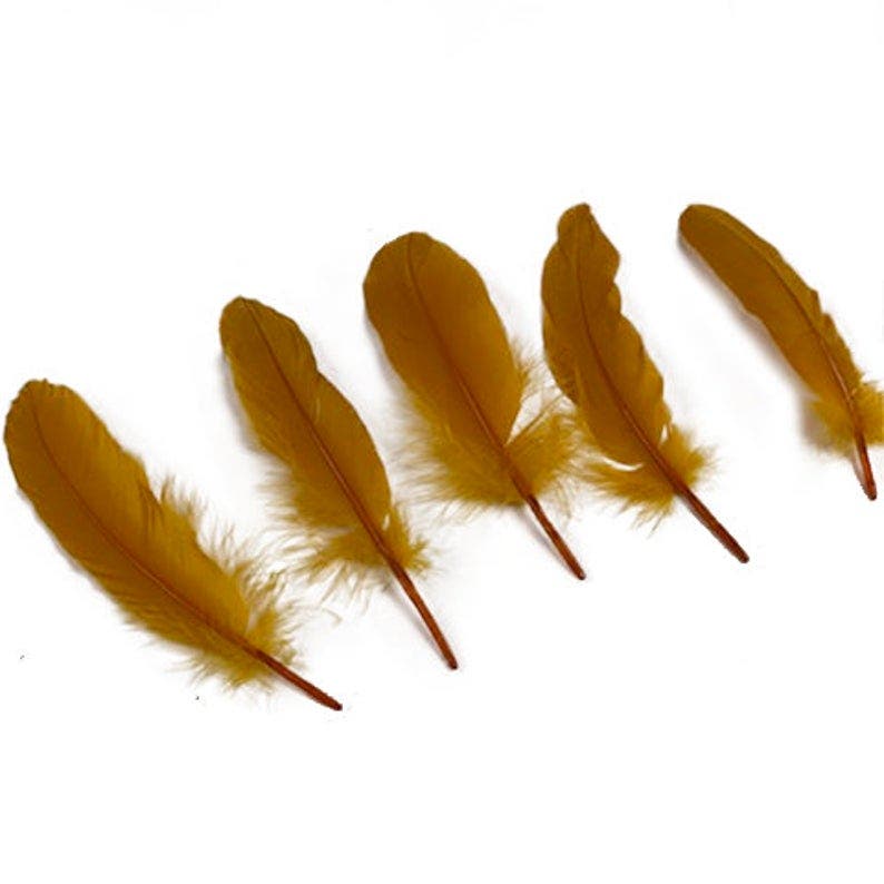 Goose Pallet Feathers 6-8’’ - 12 pc - Antique Gold - Feathers