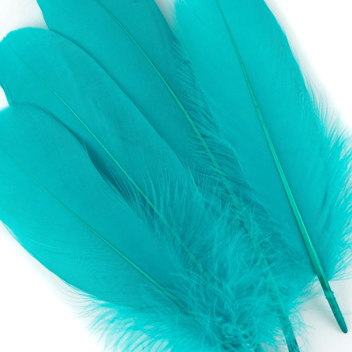 Goose Pallet Feathers 6-8’’ - 12 pc - Aquamarine - Feathers