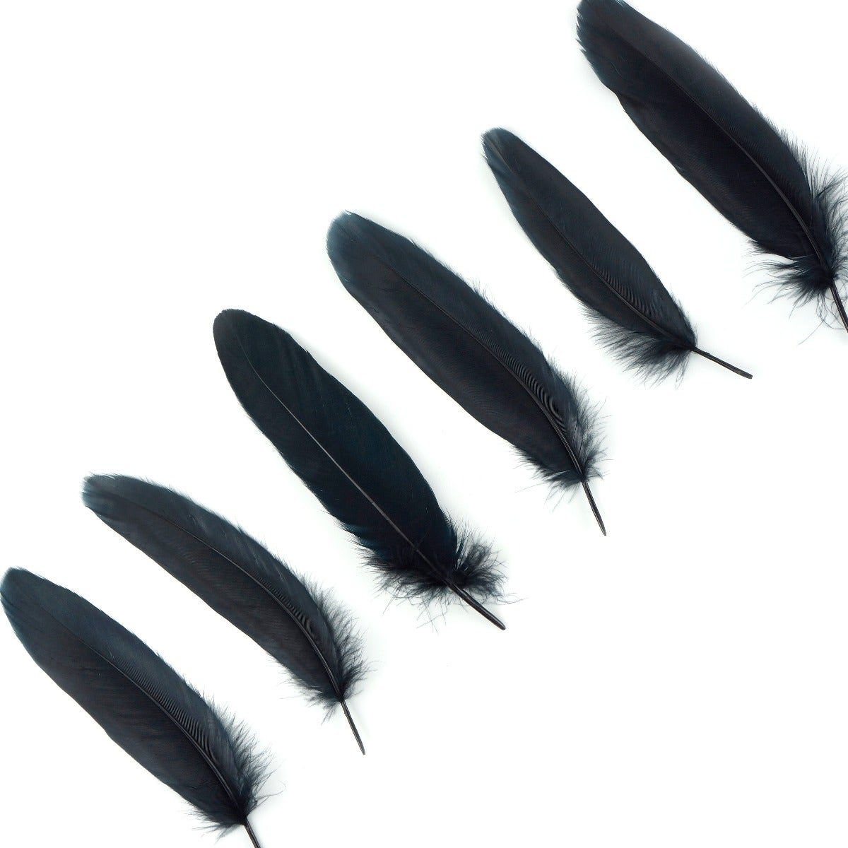 Goose Pallet Feathers 6-8’’ - 12 pc - Black - Feathers