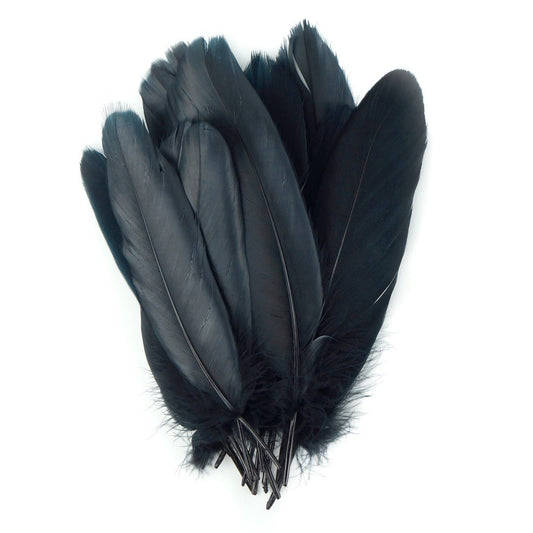 Goose Pallet Feathers 6-8’’ - 12 pc - Black - Feathers