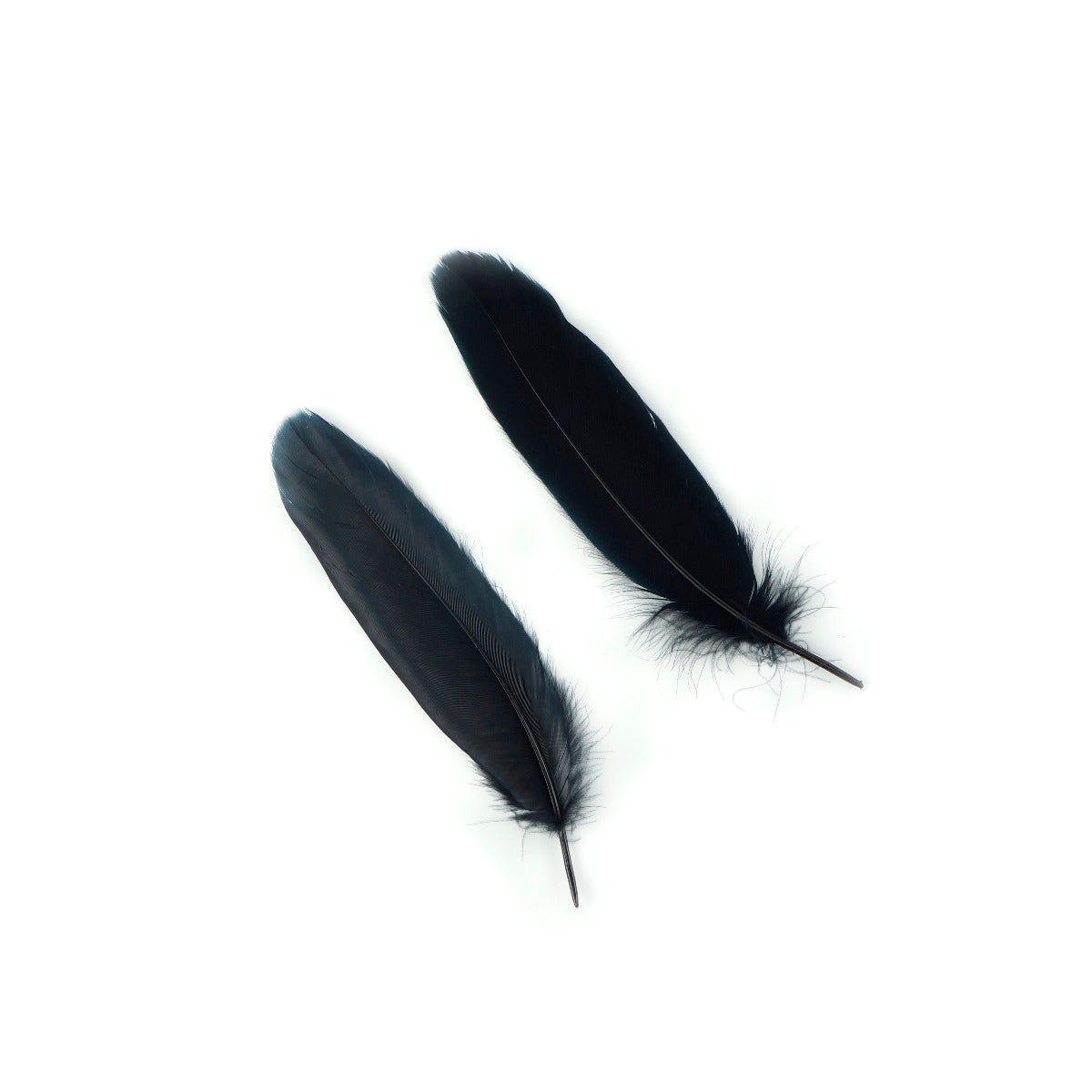 Goose Pallet Feathers 6-8’’ - 12 pc - Black - Feathers