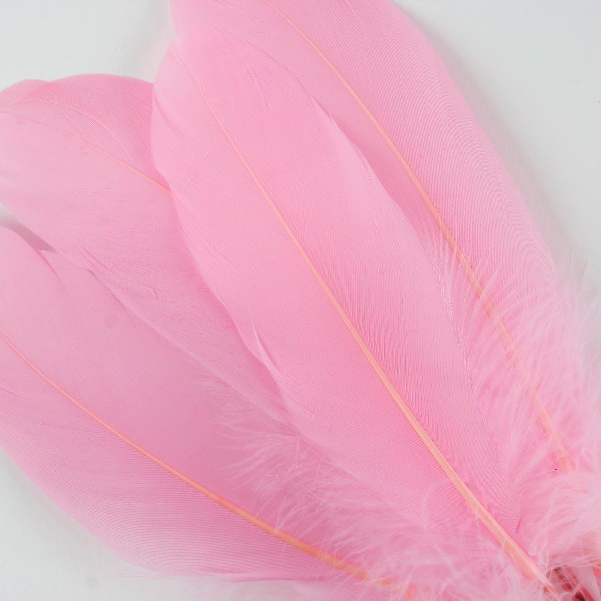 Goose Pallet Feathers 6-8’’ - 12 PC - Candy Pink - Feathers