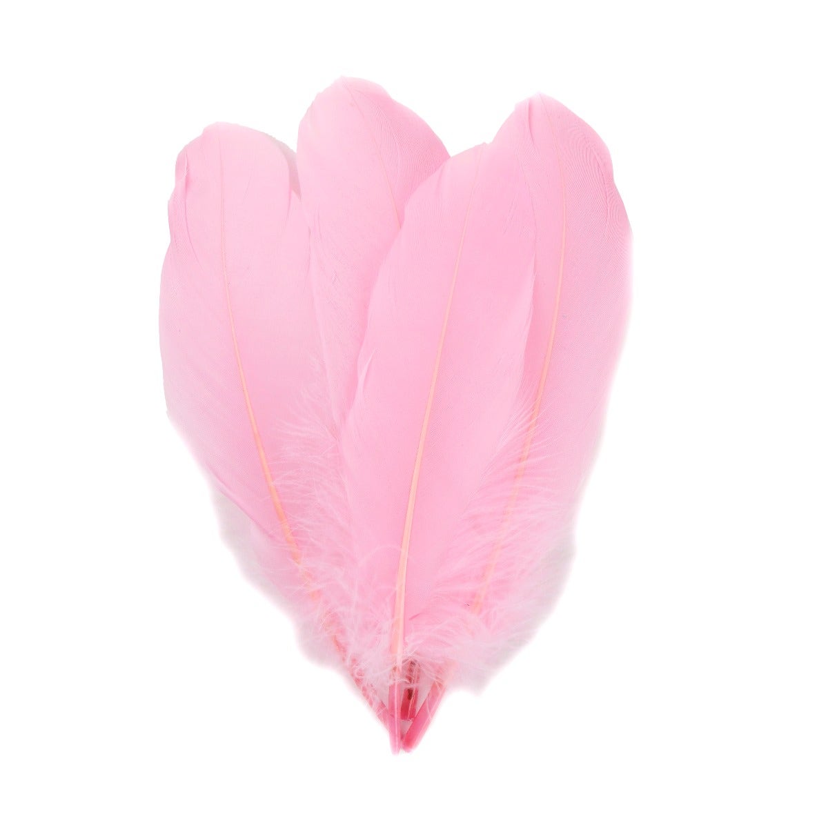 Goose Pallet Feathers 6-8’’ - 12 PC - Candy Pink - Feathers