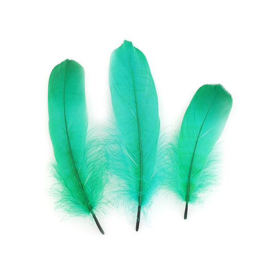 Goose Pallet Feathers 6-8’’ - 12 pc - Emerald - Feathers