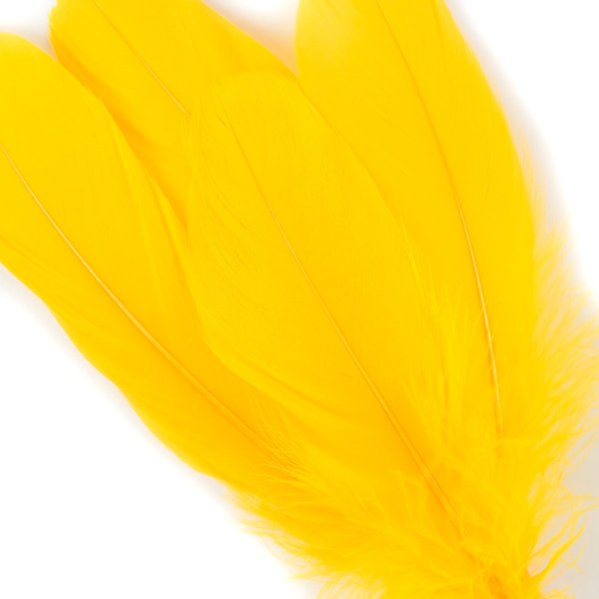 Goose Pallet Feathers 6-8’’ - 12 pc - Gold - Feathers