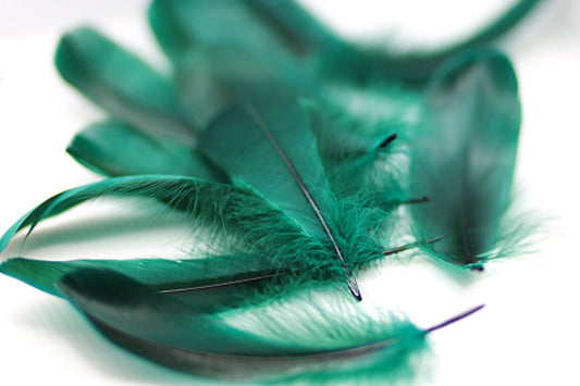 Goose Pallet Feathers 6-8’’ - 12 pc - Hunter Green - Feathers