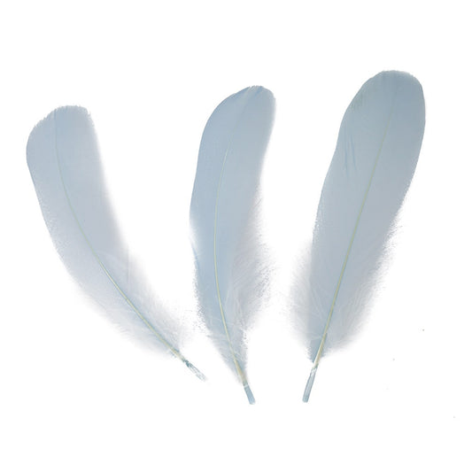 Goose Pallet Feathers 6-8’’ - 12 pc - Light Blue - Feathers