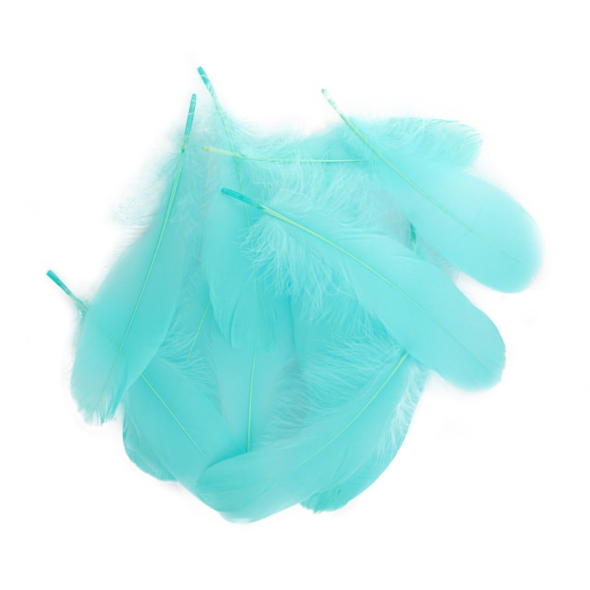 Goose Pallet Feathers 6-8’’ - 12 pc - Mint - Feathers