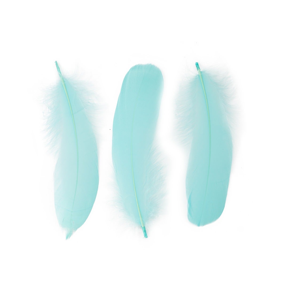 Goose Pallet Feathers 6-8’’ - 12 pc - Mint - Feathers