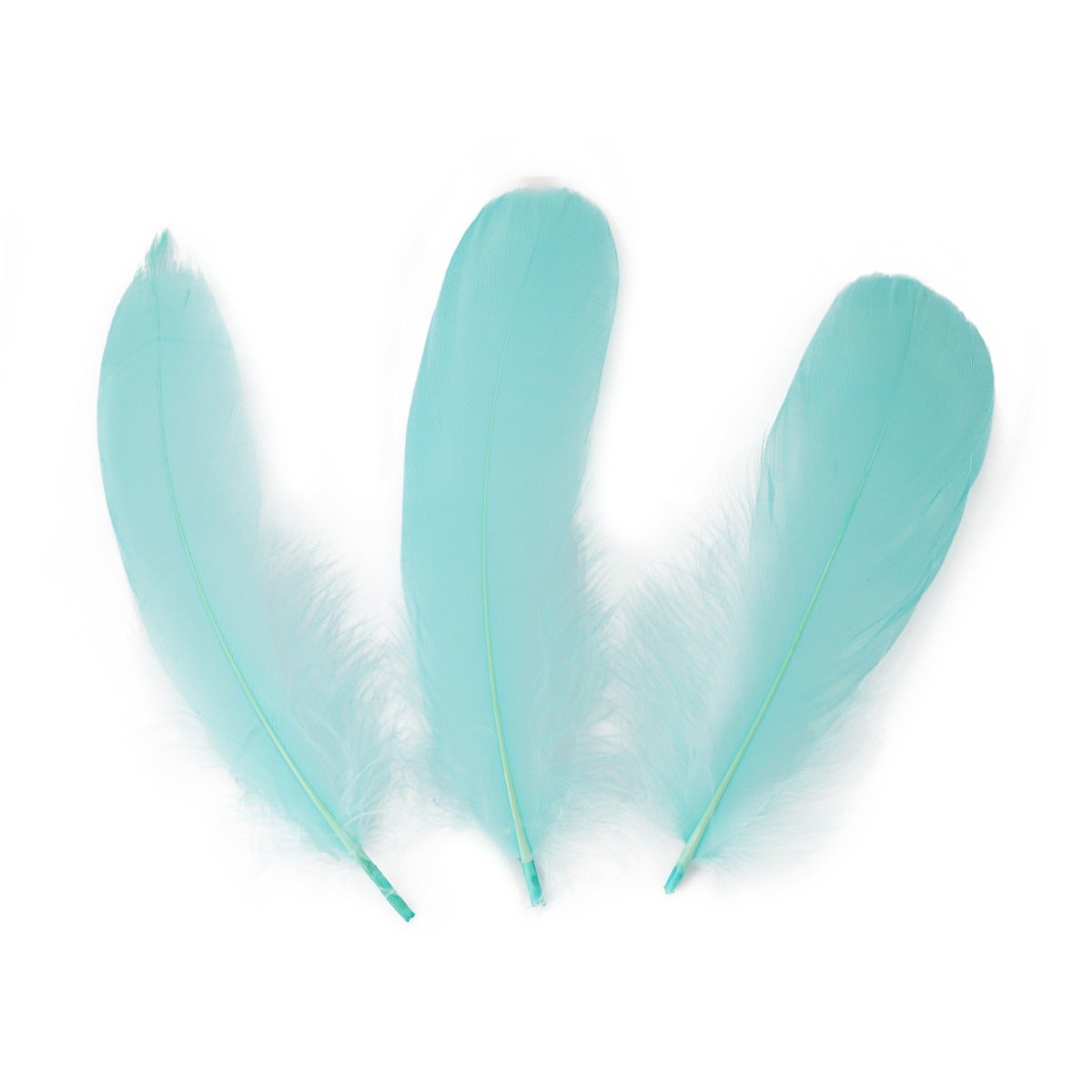 Goose Pallet Feathers 6-8’’ - 12 pc - Mint - Feathers