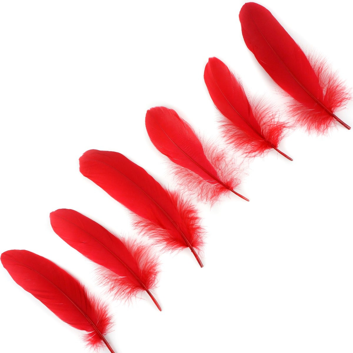 Goose Pallet Feathers 6-8’’ - 12 pc - Red - Feathers