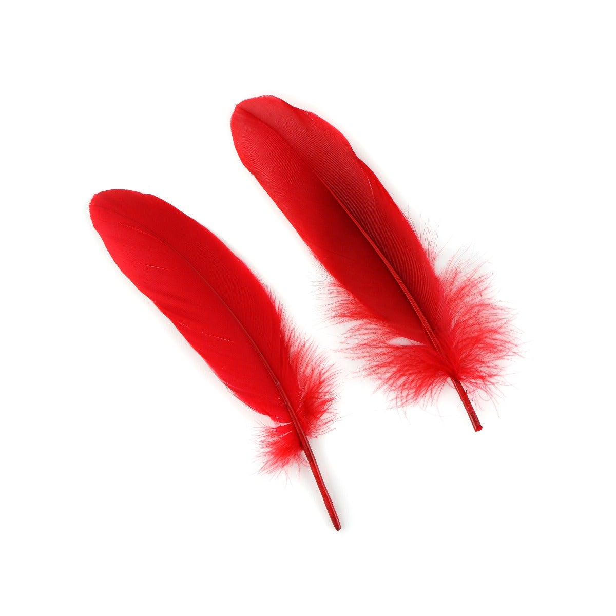 Goose Pallet Feathers 6-8’’ - 12 pc - Red - Feathers