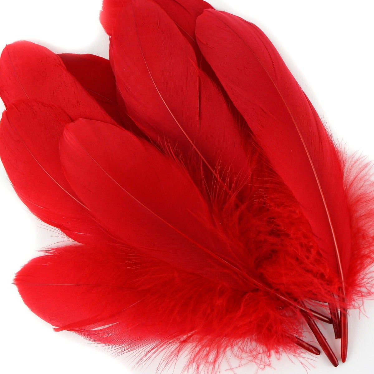 Goose Pallet Feathers 6-8’’ - 12 pc - Red - Feathers