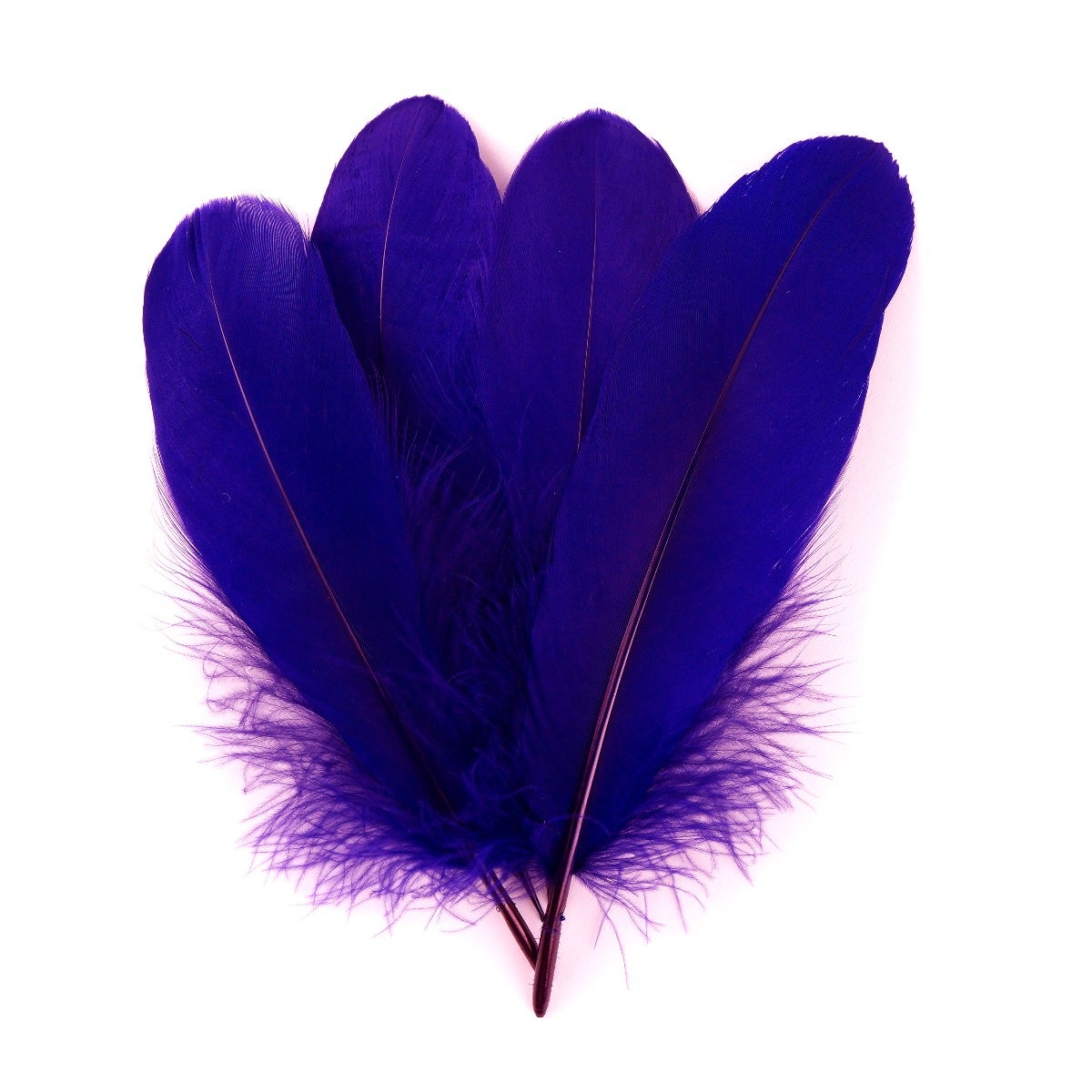 Goose Pallet Feathers 6-8’’ - 12 pc - Regal - Feathers