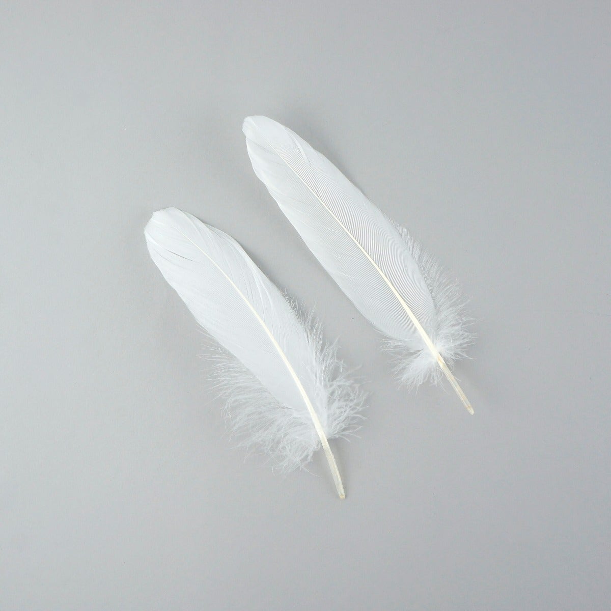 Goose Pallet Feathers 6-8’’ - 12 pc - White - Feathers