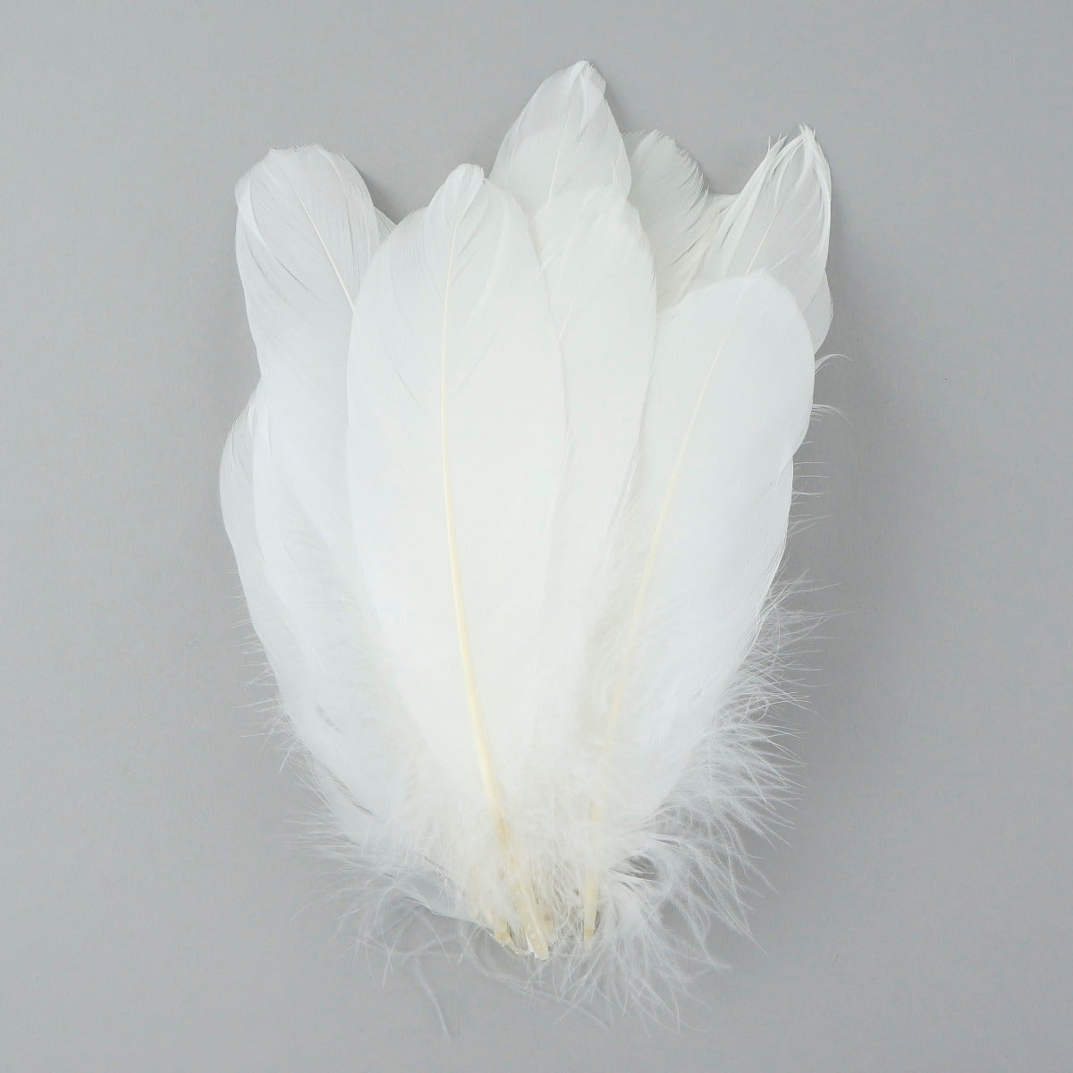 Goose Pallet Feathers 6-8’’ - 12 pc - White - Feathers