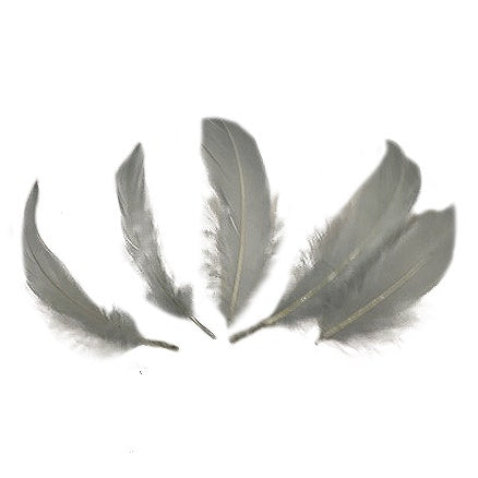 Goose Pallet Feathers 6-8’’ 12PC/PKG - Silver - Feathers