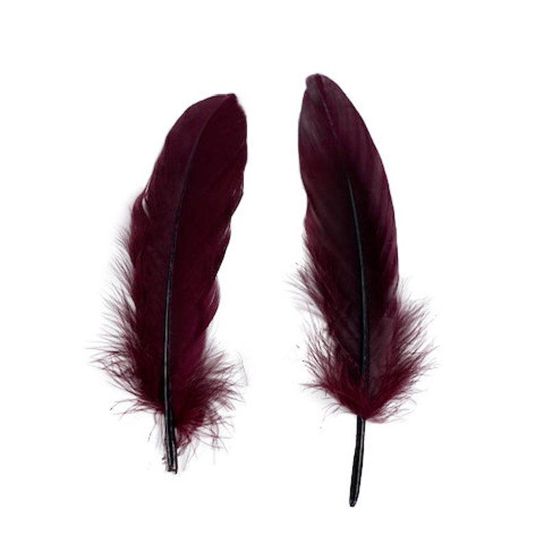 Goose Pallets Loose 6-8’’ 12 PC/PKG - Burgundy - Feathers