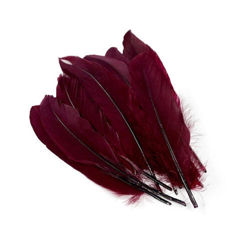 Goose Pallets Loose 6-8’’ 12 PC/PKG - Burgundy - Feathers