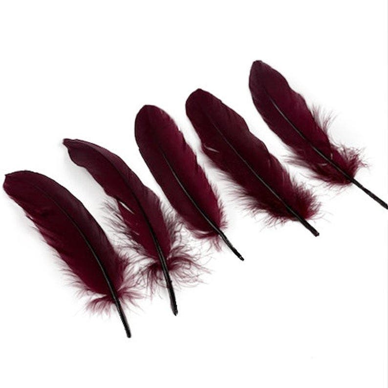 Goose Pallets Loose 6-8’’ 12 PC/PKG - Burgundy - Feathers