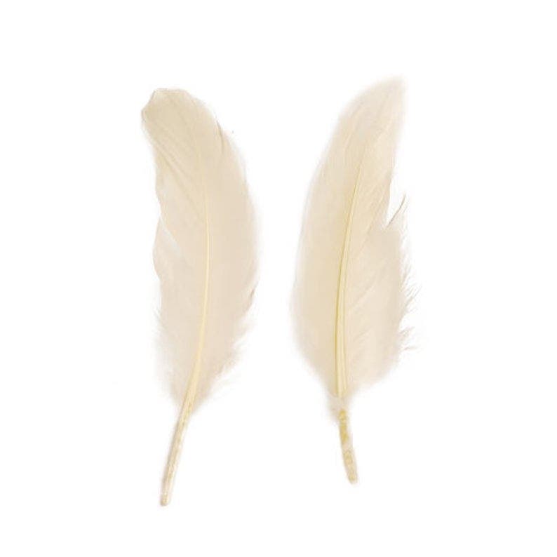 Goose Pallets Loose 6-8’’ 12 PC/PKG - Ivory - Feathers