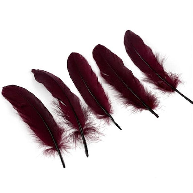 Goose Pallets Loose Feathers 6-8 Inch 1/4 LB - Burgundy - Feathers