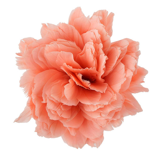 Goose Parried Pallets Dyed 0.50YD Apricot Blush - Feathers