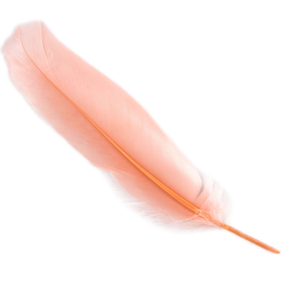 Goose Satinette Feathers Dyed - Apricot Blush - 1/4 lb