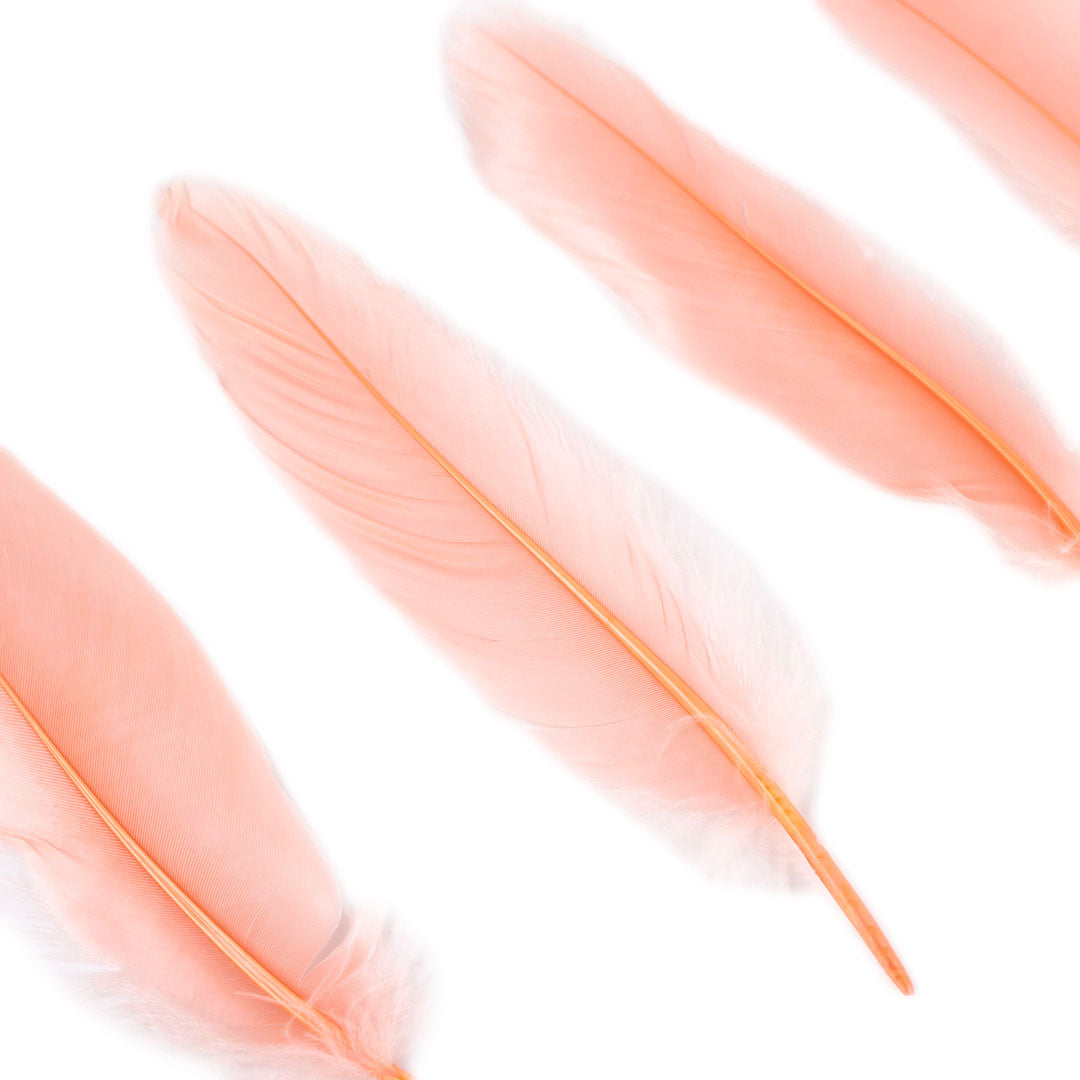 Goose Satinette Feathers Dyed - Apricot Blush - 1/4 lb