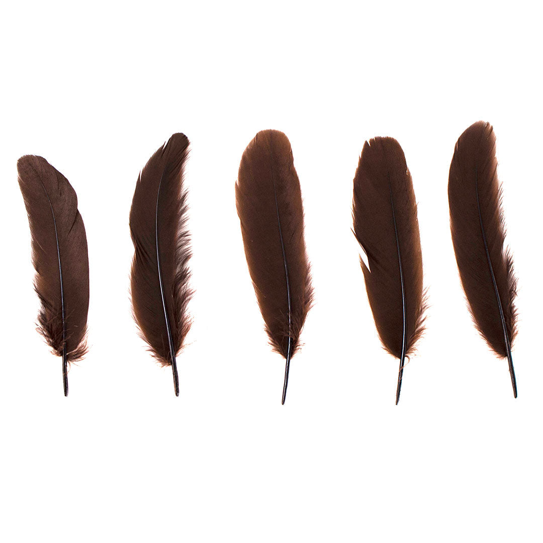 Goose Satinette Feathers Dyed - Brown - 1/4 lb