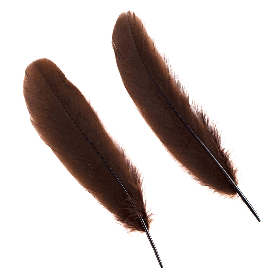 Goose Satinette Feathers Dyed - Brown - 1/4 lb