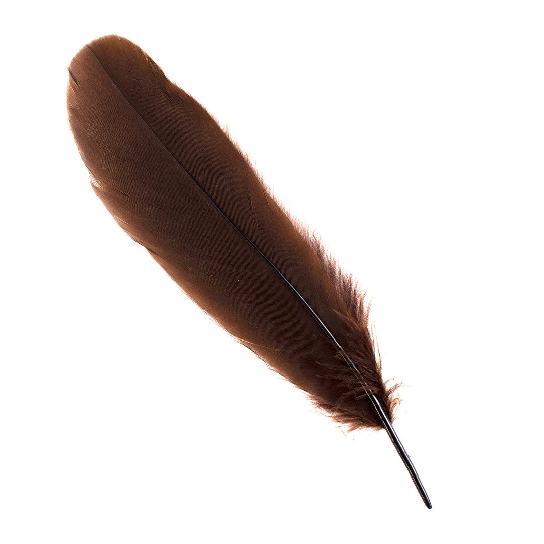 Goose Satinette Feathers Dyed - Brown - 1/4 lb