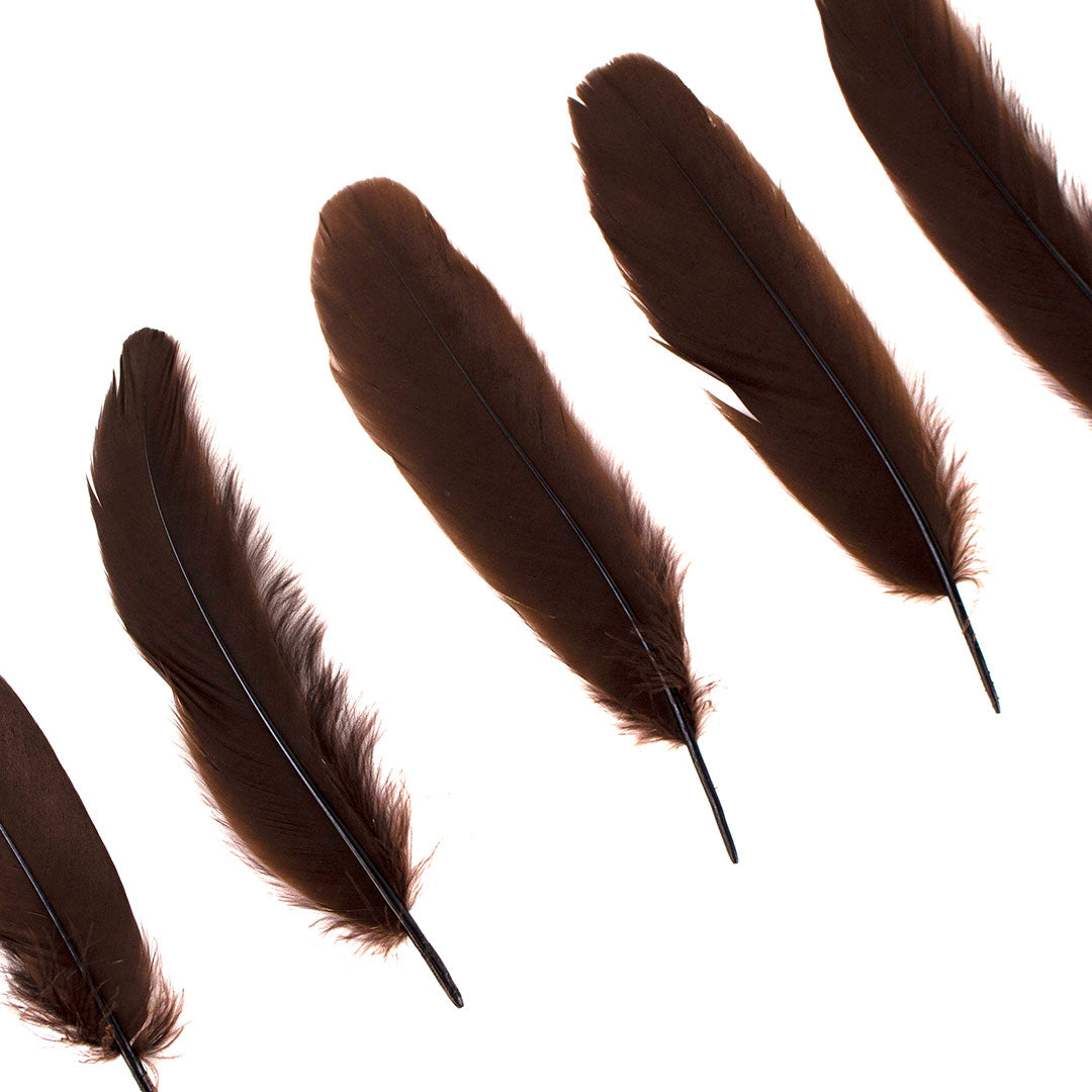 Goose Satinette Feathers Dyed - Brown - 1/4 lb