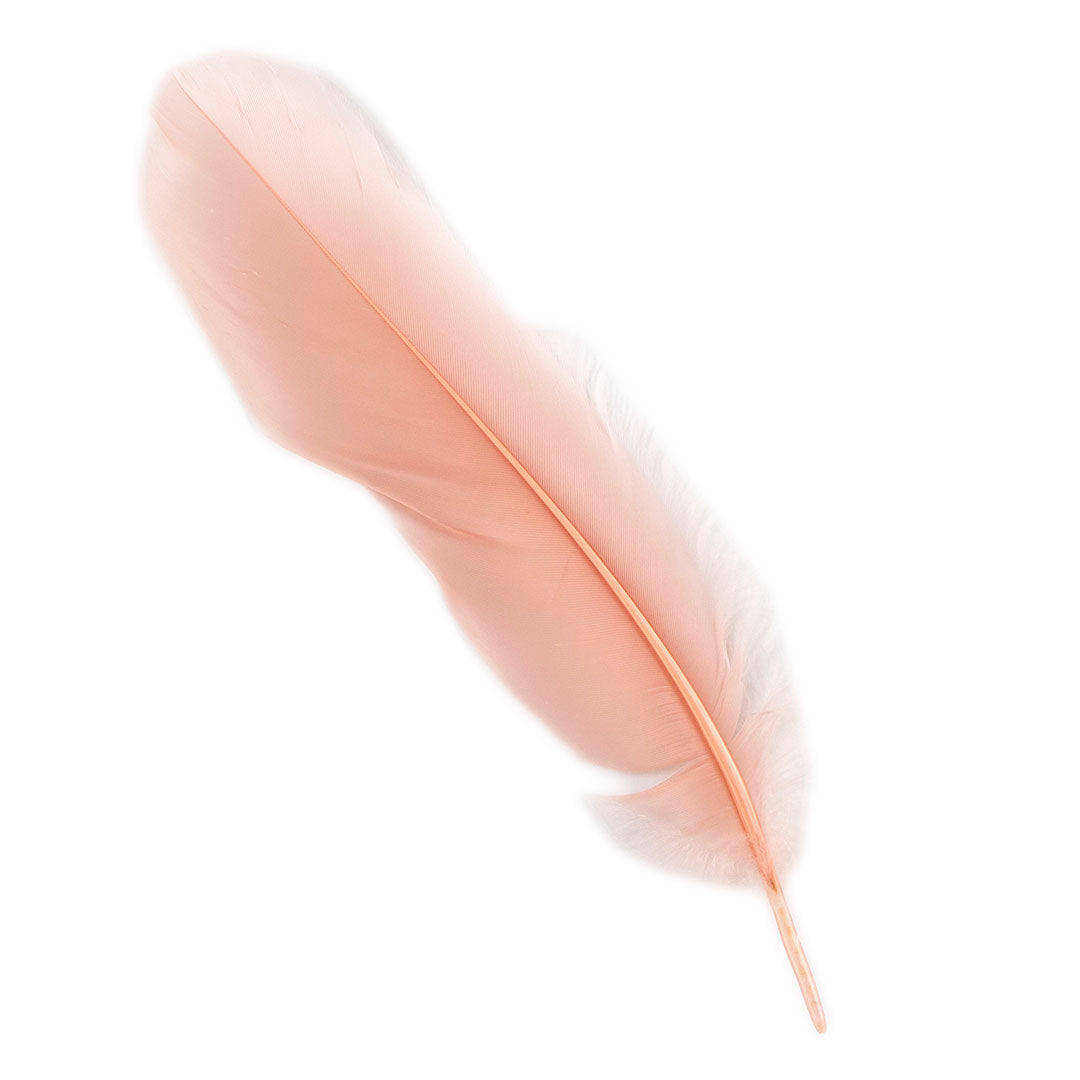 Goose Satinette Feathers Dyed - CHAMPAGNE - 1/4 lb