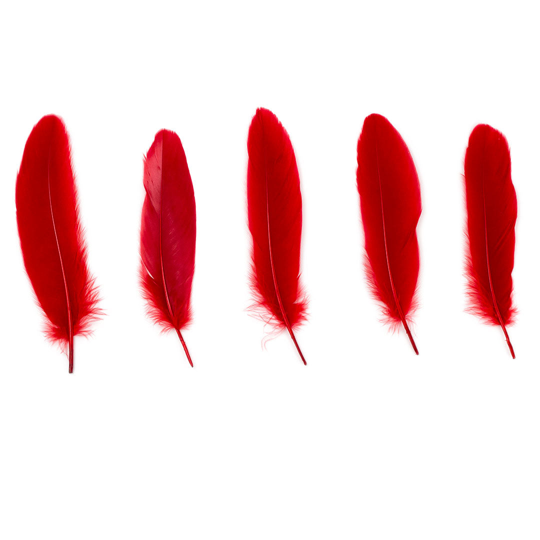 Goose Satinette Feathers Dyed - Red - 1/4 lb