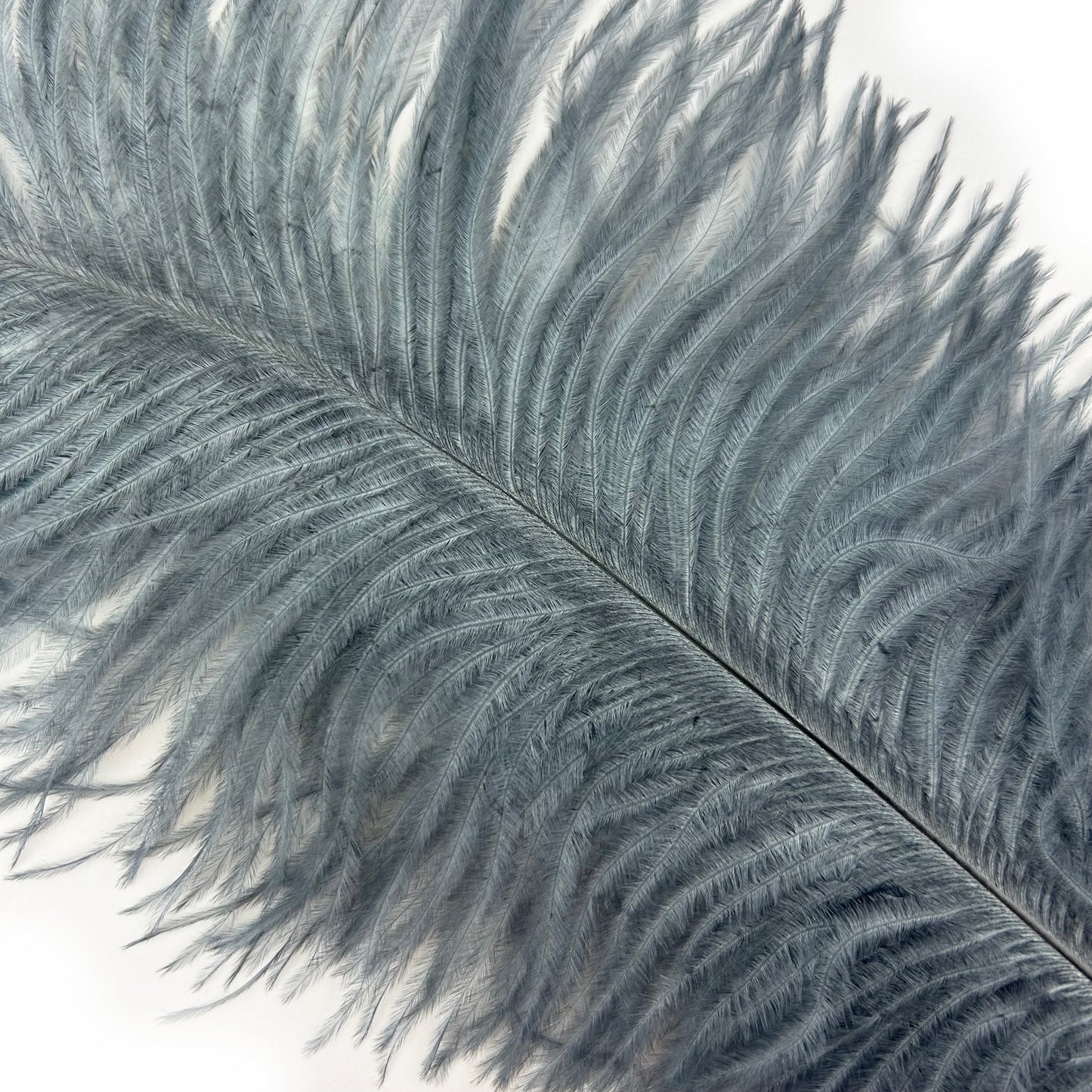 Ostrich Feathers 9-12" Drabs - Gun Metal Grey