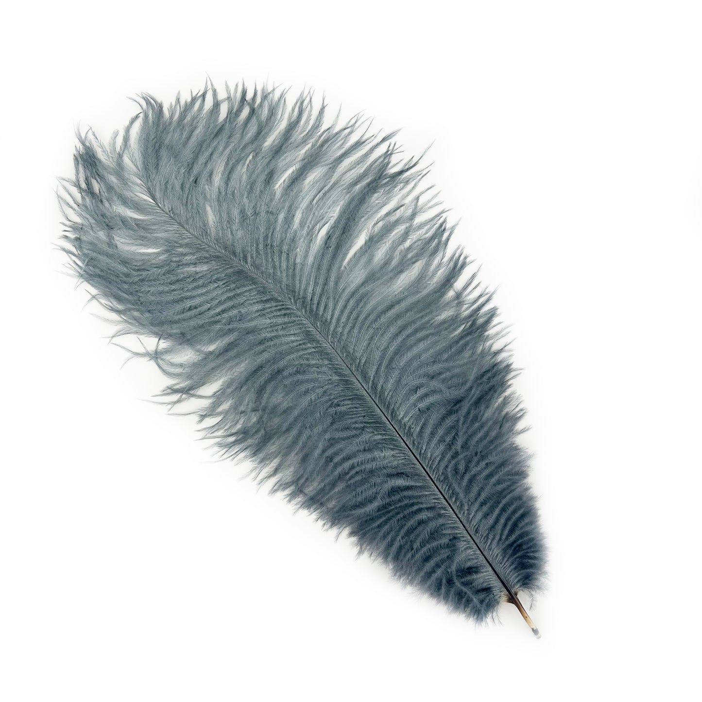 Ostrich Feathers 9-12" Drabs - Gun Metal Grey