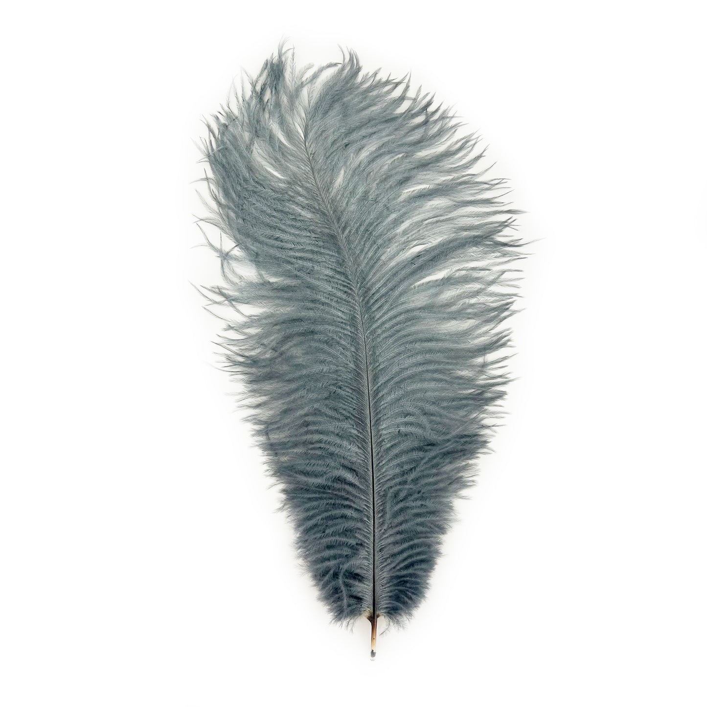 Ostrich Feathers 9-12" Drabs - Gun Metal Grey