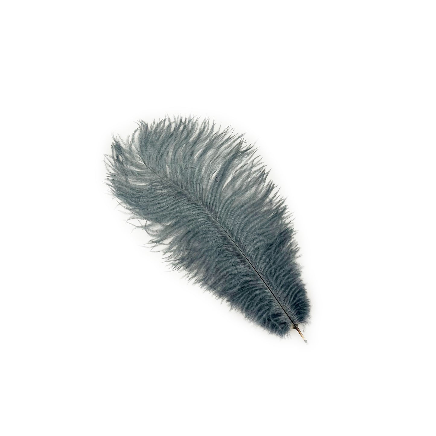 Ostrich Feathers 9-12" Drabs - Gun Metal Grey