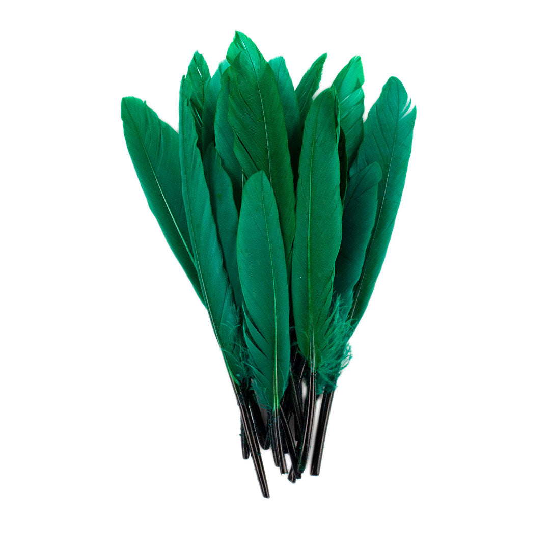 Duck Cosse Feathers - 3 - 6"-Lime