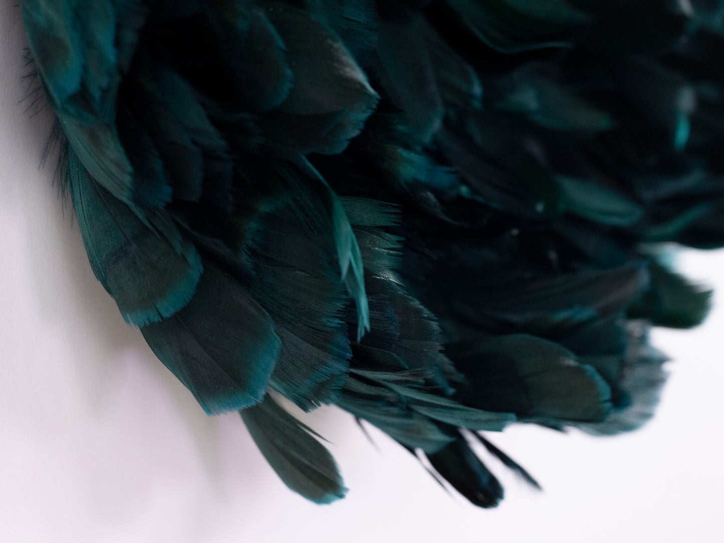 Juju Hat Nagoire Feather Wall Art 16 inch Wood Base   24-26 inch DIA --Teal
