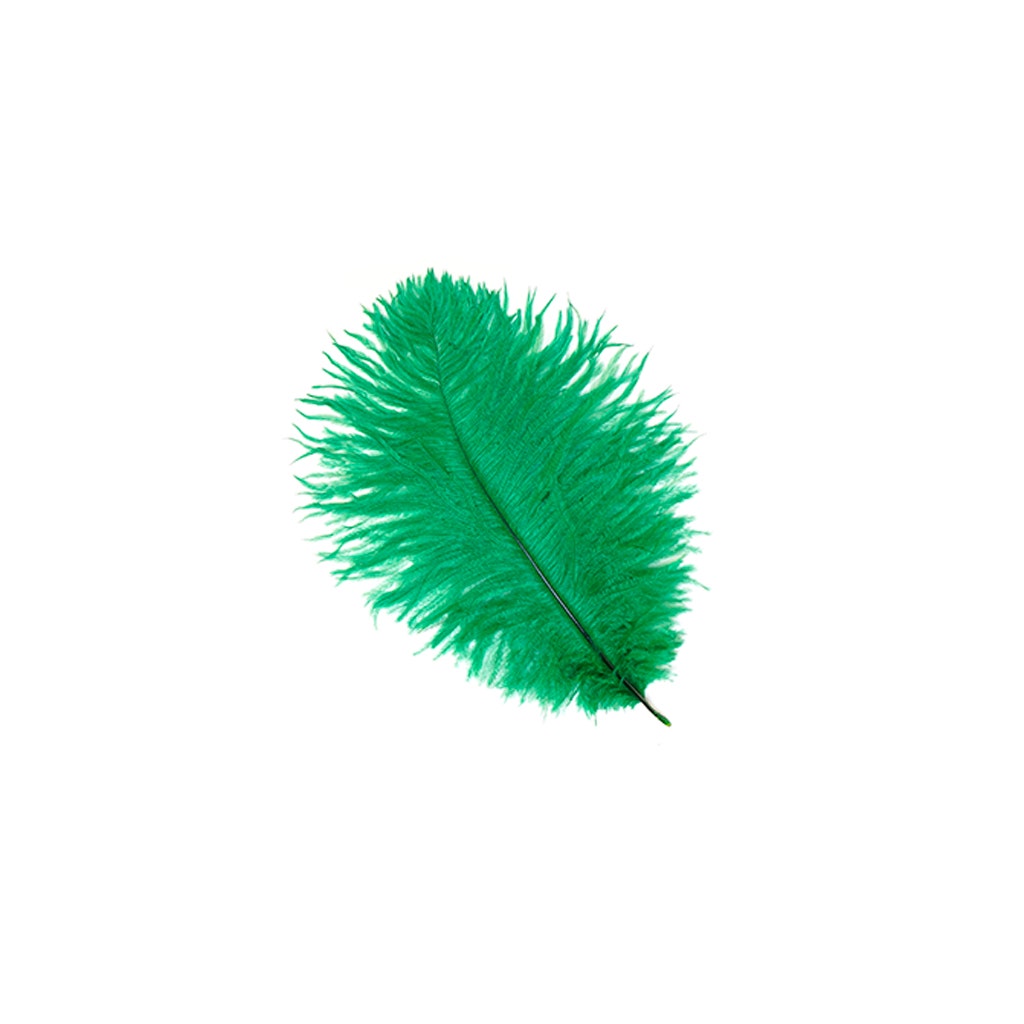 Selected Ostrich Drab Feathers - 9-12" - 12 pcs -  Emerald