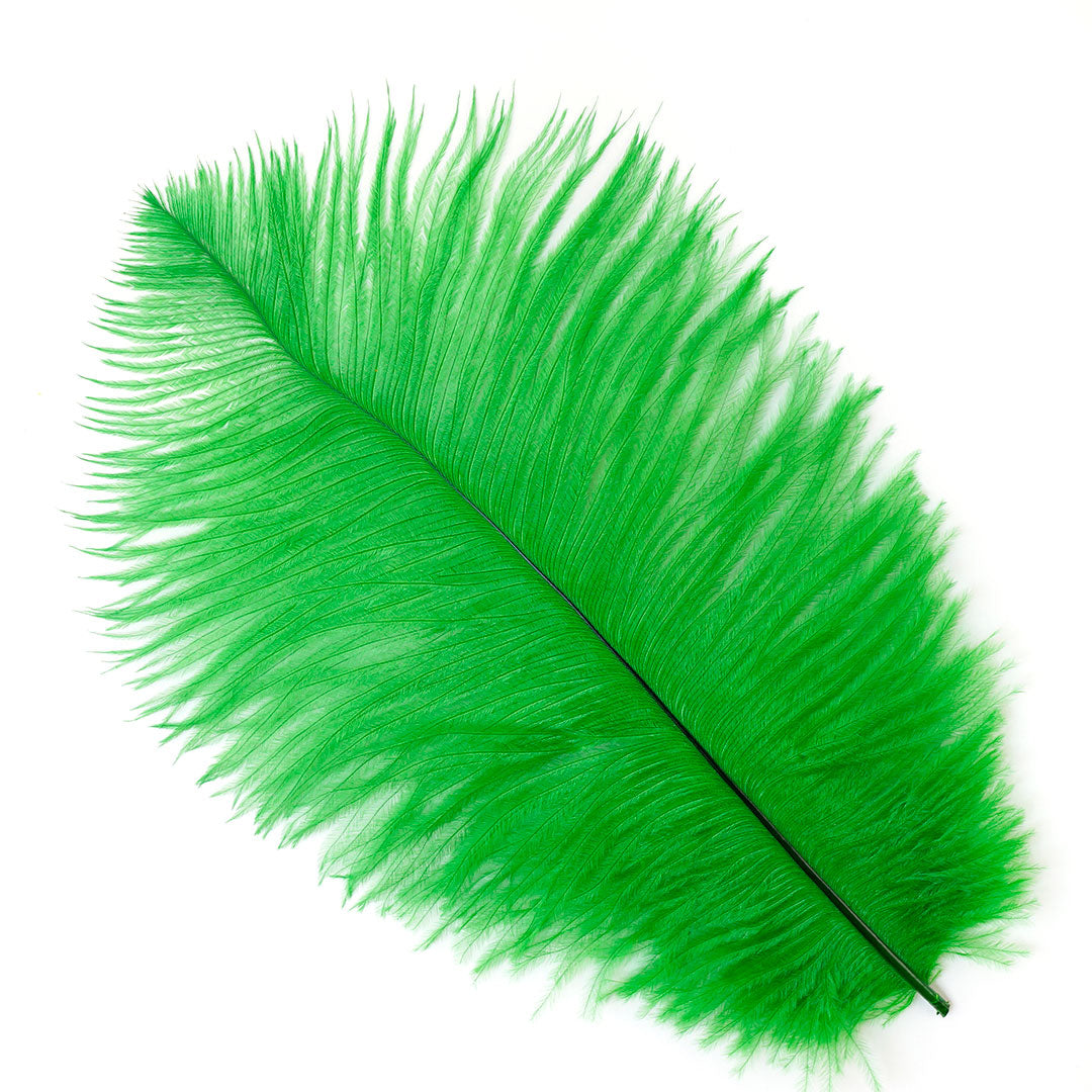 Ostrich Feathers 9-12" Drabs - Kelly