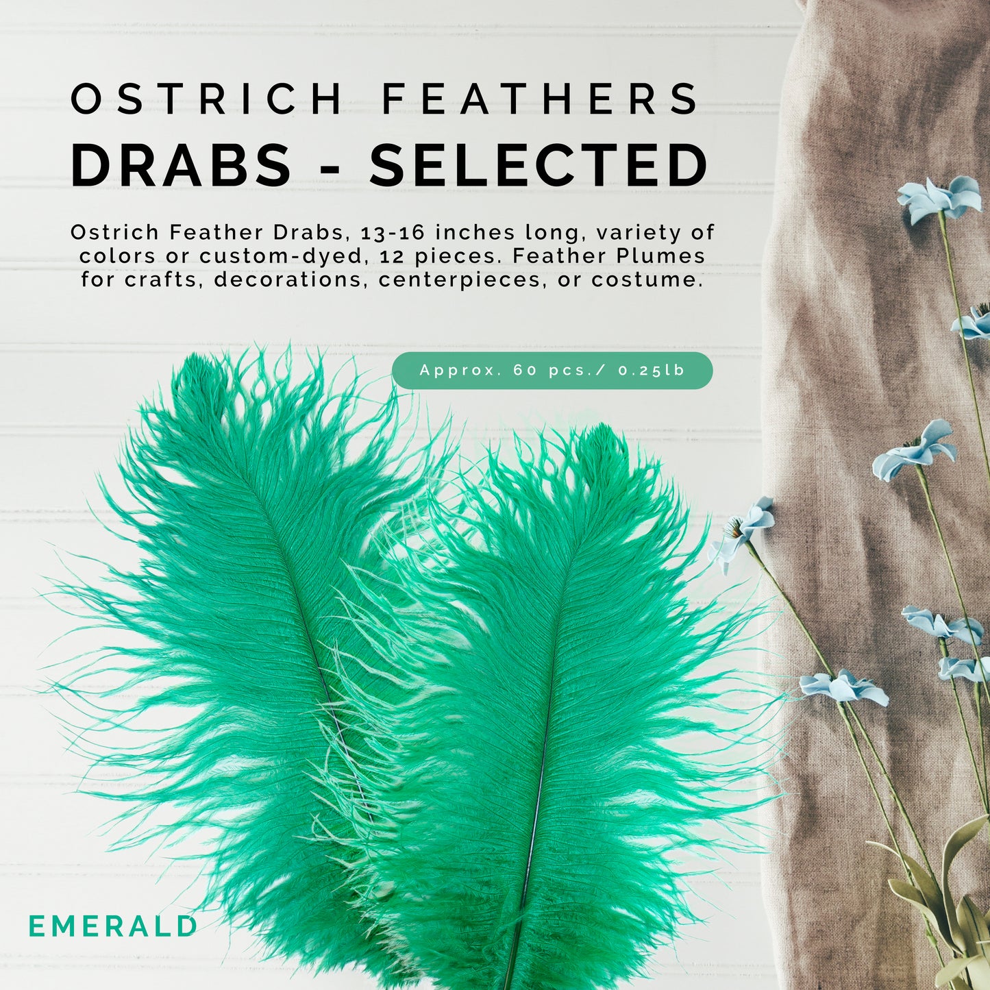 Ostrich Drabs 13-16 inch   1/4LB --Emerald