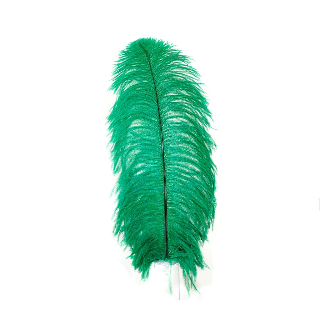 Ostrich Prime Femina Feathers - 6pc - 17 - 25 Inches - Emerald