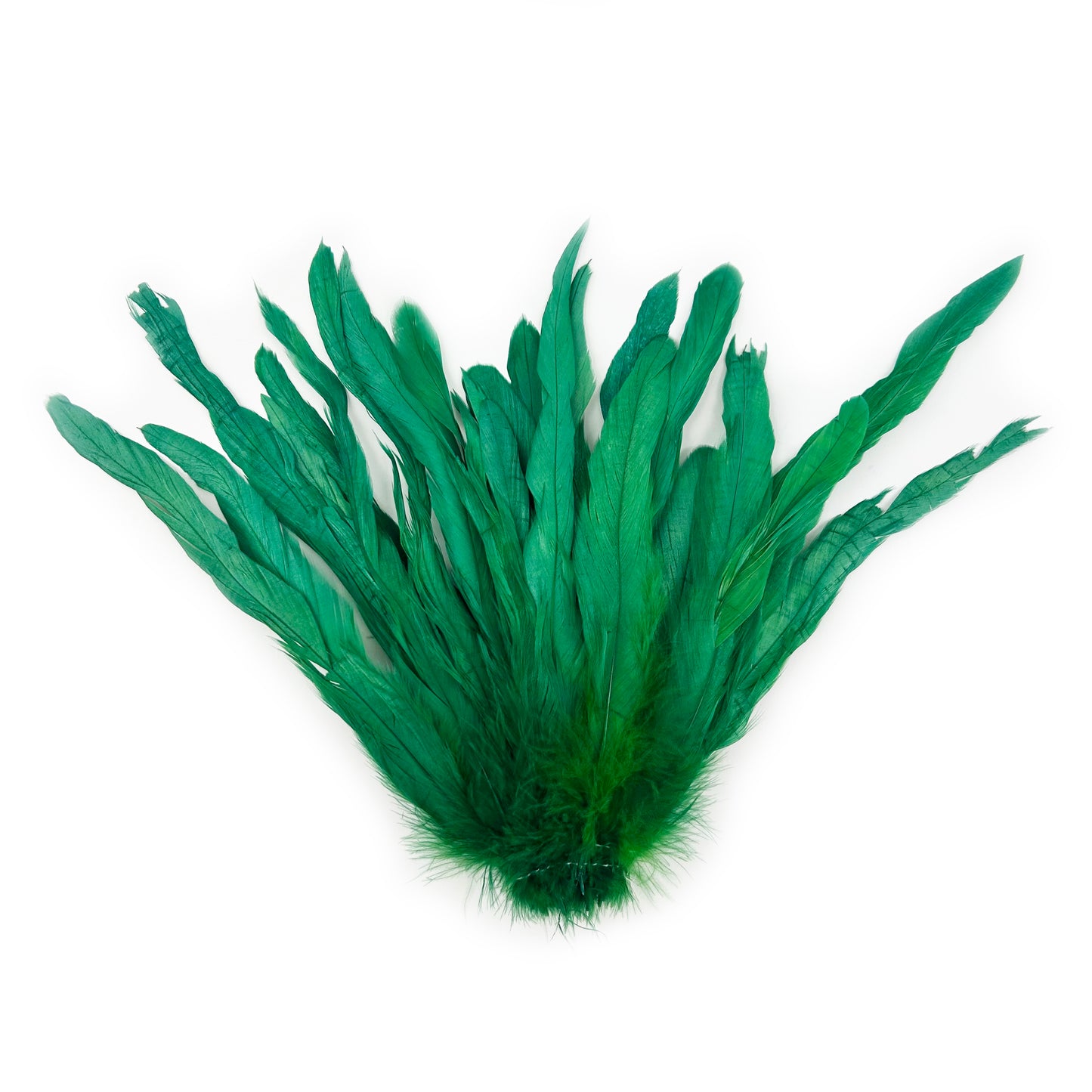 ROOSTER COQUE TAIL FEATHERS BLEACH DYED 7-10” - 25 PC/PKG - Kelly