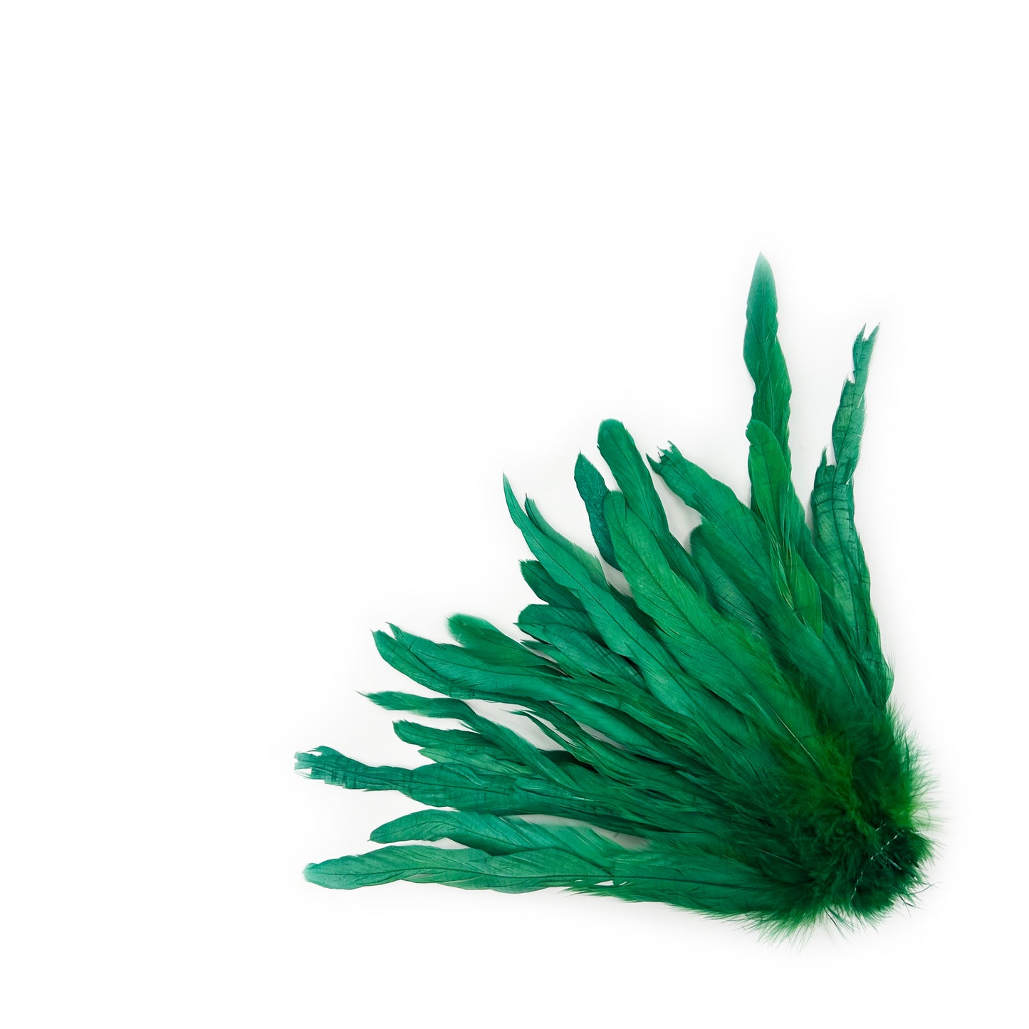ROOSTER COQUE TAIL FEATHERS BLEACH DYED 7-10” - 25 PC/PKG - Kelly