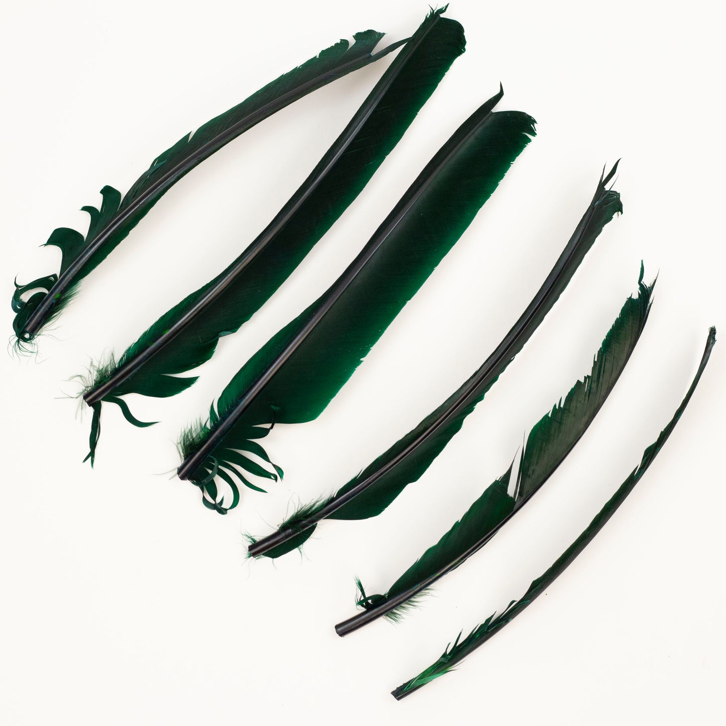 Hunter Green Cut Turkey Pointer Feathers 8-12"
