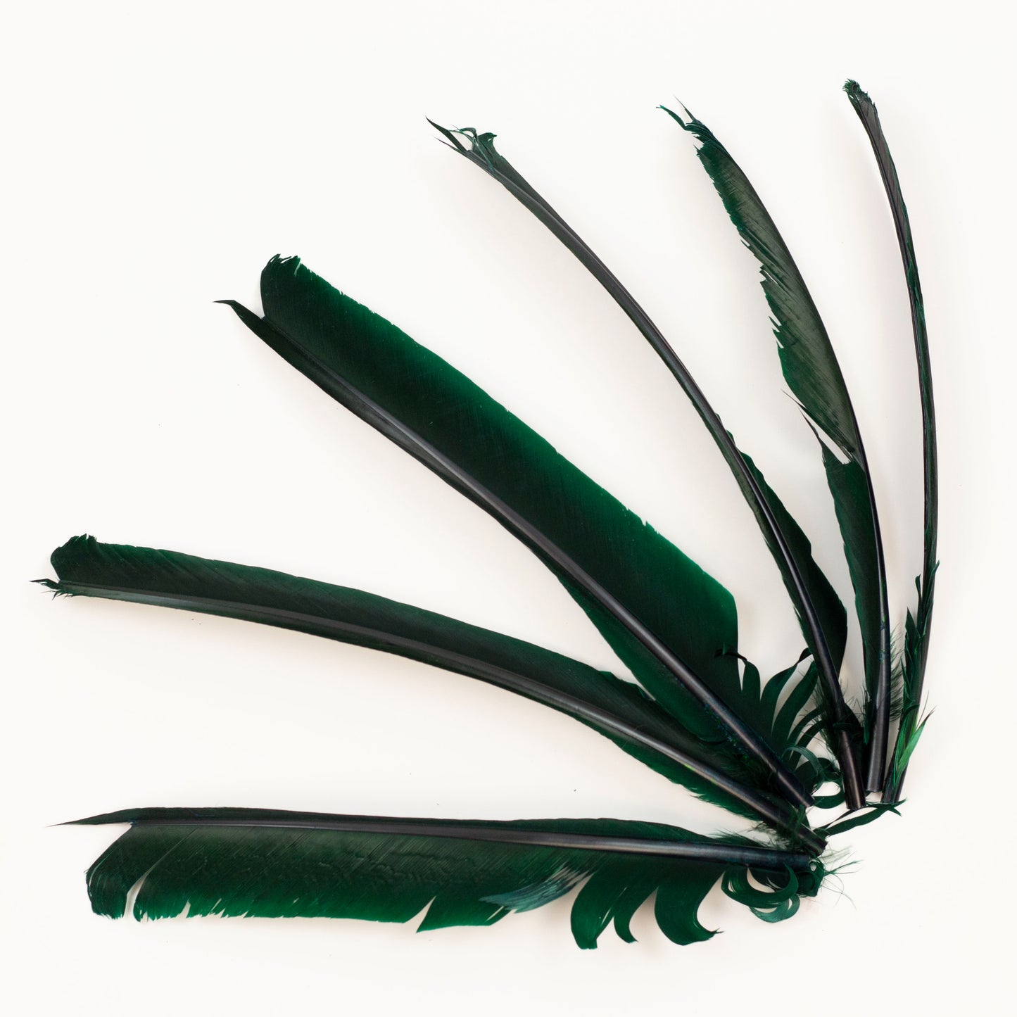 Hunter Green Cut Turkey Pointer Feathers 8-12"